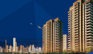 �A�ķ��a(ch��n)��ý�wϵ�y(t��ng)